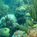 Ocean's Acid Test