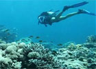 Shallow Water Diving