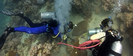 Open Circuit SCUBA