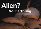 Alien. No. Earthling.