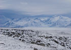 Arctive Expedition 2008