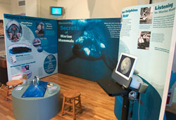 Exhibits