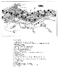 MBL Campus Map