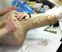 ceramic sample