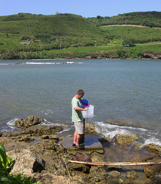 Paul Henderson collecting sample