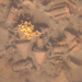  Archaeology in the Aegean