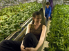 The McMurdo greenhouse.