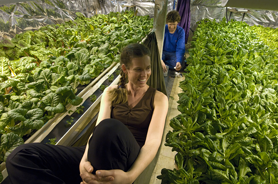The McMurdo greenhouse.