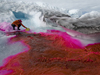 Sarah Das spreading red dye.