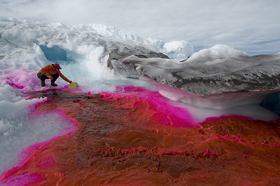 Sarah Das spreading red dye.