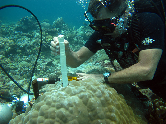 WHOI scientist Pat Lohmann removes a core drilled from a living coral during a recent field expedition to Palau, a remote coral reef archipelago in the far western Pacific.