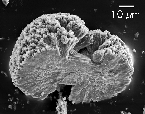 Calcium carbonate crystals