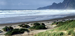 Coastal Ocean Institute