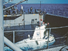 alvin bomb search