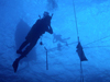 deep ocean divers