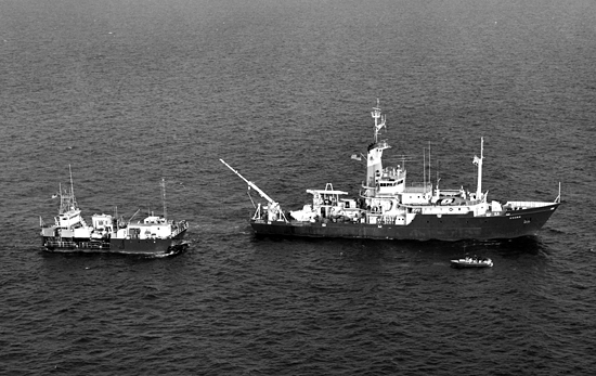 Knorr and Lulu head to sea