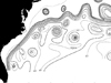 old gulf stream drawing