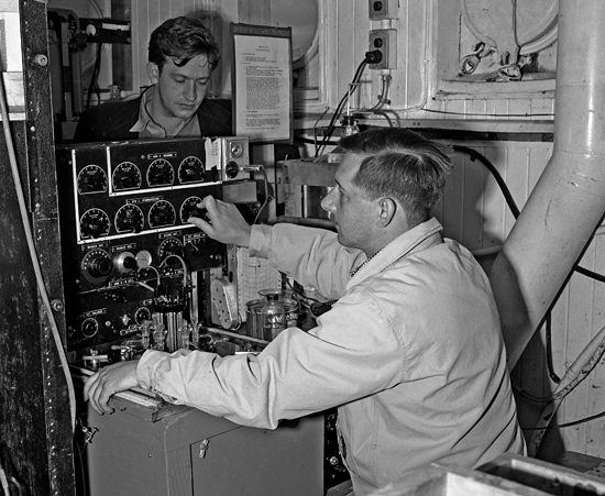 bradshaw and schleicher