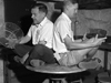 henry stommel and louis howard