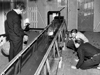 original whoi flume
