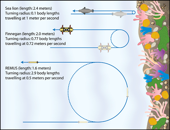 finnegan compared