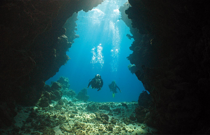 large underwater cavern on a Red Sea coral reef