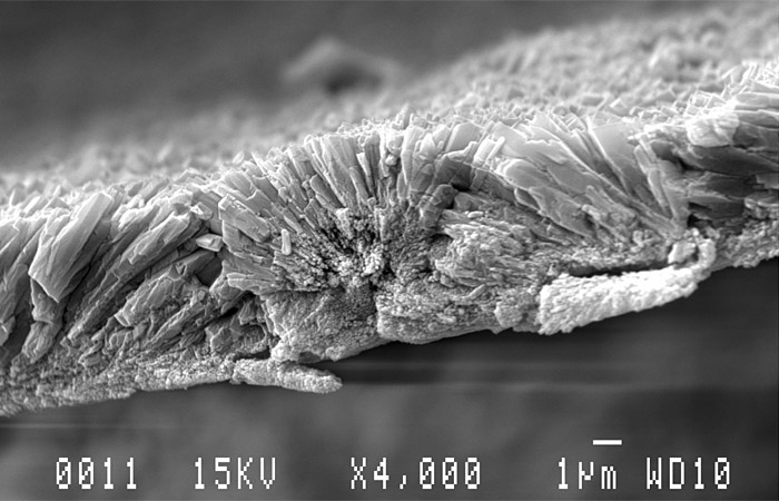 crystals of aragonite