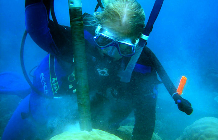 Hannah Barkley drills into a coral colony