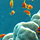 coral_x2_205416.jpeg