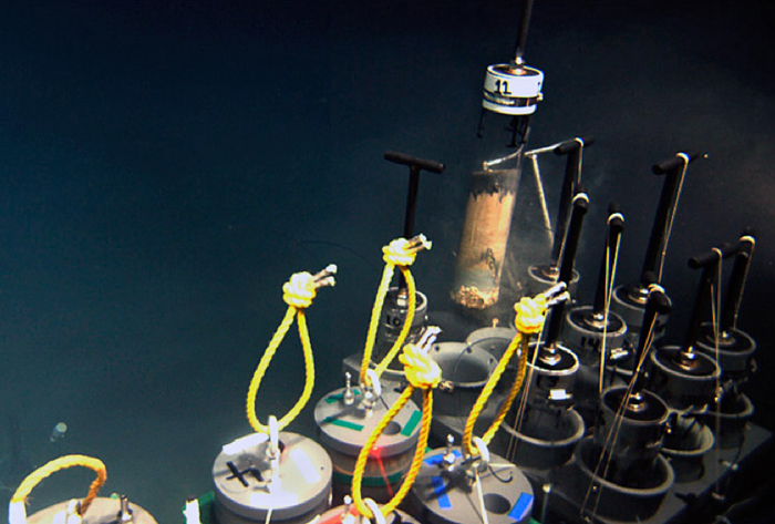 pushcore sediment sample from Urania Basin in Mediterranean Sea