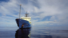 cruise planning