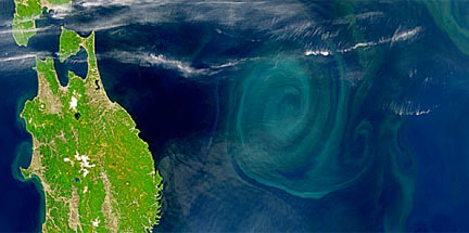 Currents, Eddies and Gyres
