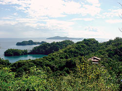 [Gallery Photo]