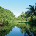 Ocean Science in the Jungle
