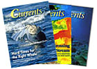 Woods Hole Currents