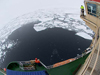 Looking down from the ship, scientists and crew look for Puma.