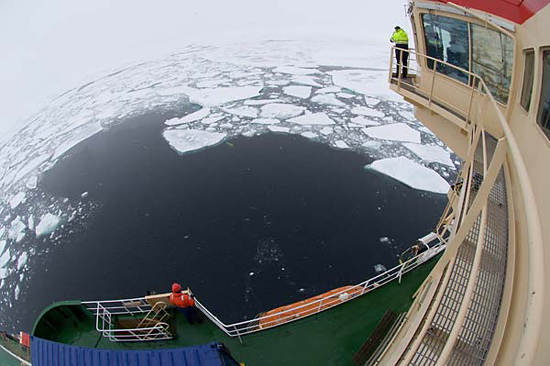 Looking down from the ship, scientists and crew look for Puma.
