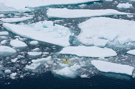 Puma waited on the surface, nestled safely in a slushy patch of ice.