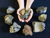 Rocks recovered by Camper in the Arctic ocean.