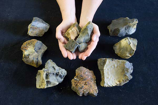 Rocks recovered by Camper in the Arctic ocean.