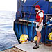 Dive and Discover Expedition 2