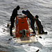 Dive and Discover Expedition 8