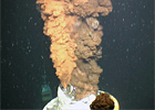 Deepwater Horizon Oil Spill