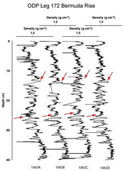Figure 2. density_plot_odp.gif GRAPE density records from ODP Site 1063.