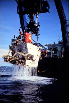 diving off alvin
