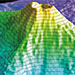 Voyage to Vailulu'u