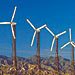 Natural Resources