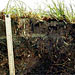Digging into Hurricanes