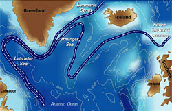 Subpolar seas bordering the North Atlantic