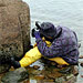 Benthic Ecology